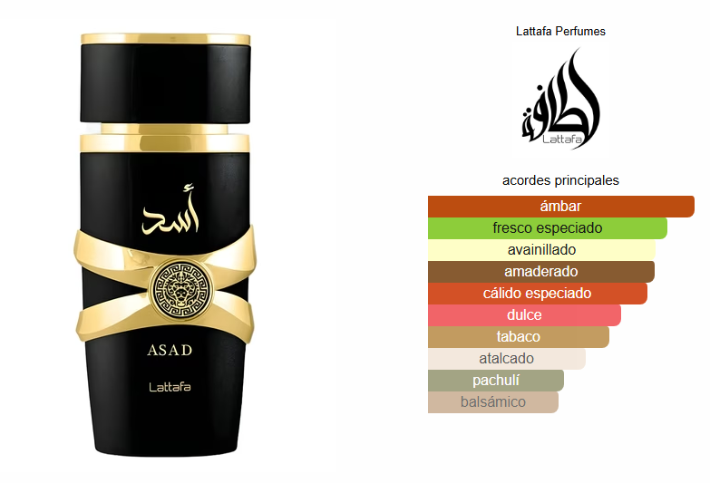 Asad EDP 100ml
