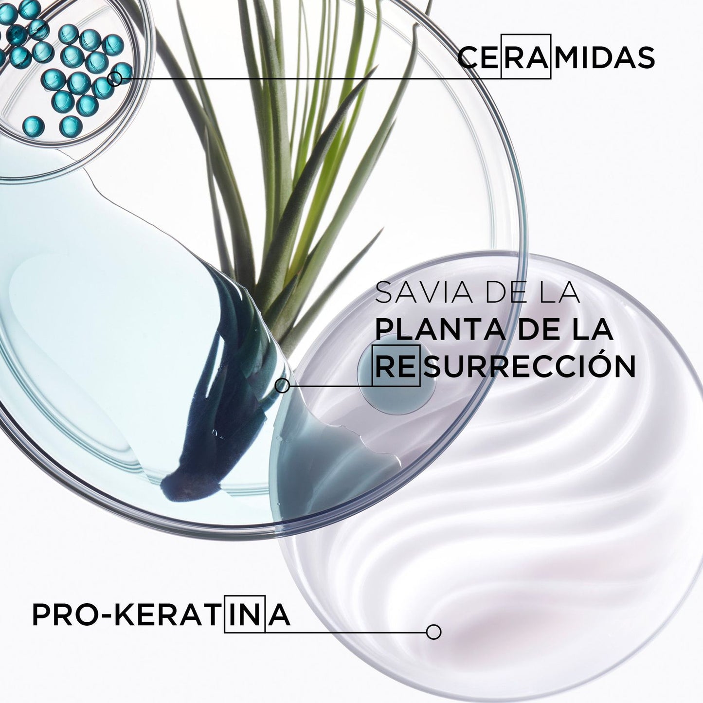 Mascarilla Resistance Force Architecte para cabello dañado 200ml